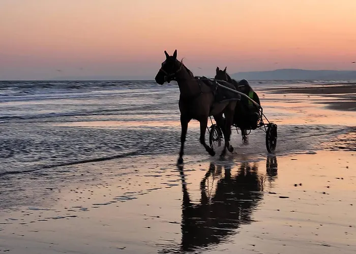 Maison De A 100m De La Plage, Jardin, Sejour Convivial - Fr-1-788-97 * Varaville
